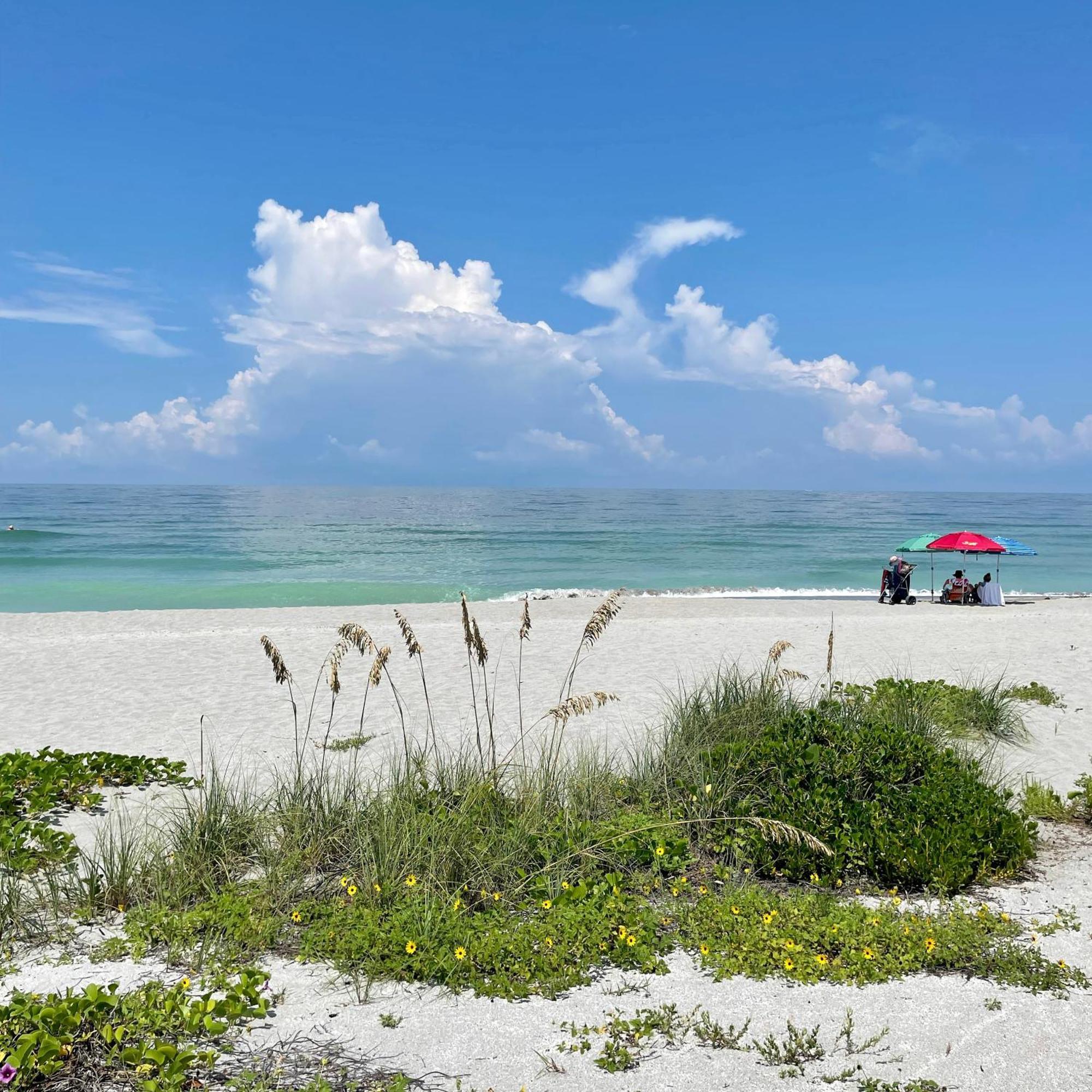 Turtle Beach Resort Siesta Key Exterior photo