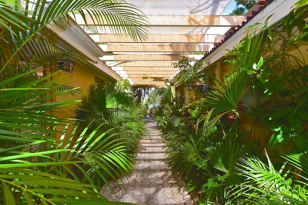 Turtle Beach Resort Siesta Key Exterior photo